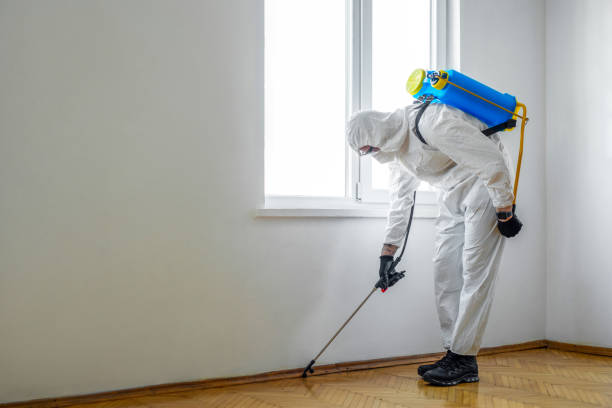 Best Residential Pest Control  in Mango, FL